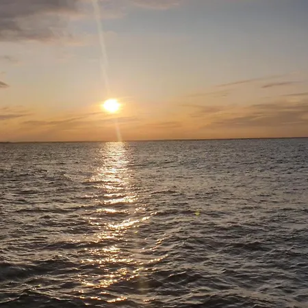 Kegelrobbe Feriehus *