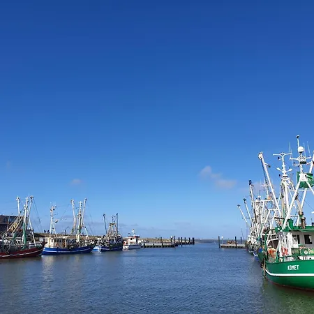 Feriehus Kegelrobbe Dornum