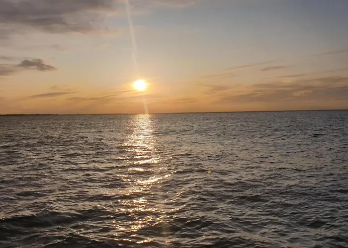 Kegelrobbe Tatil Evi *